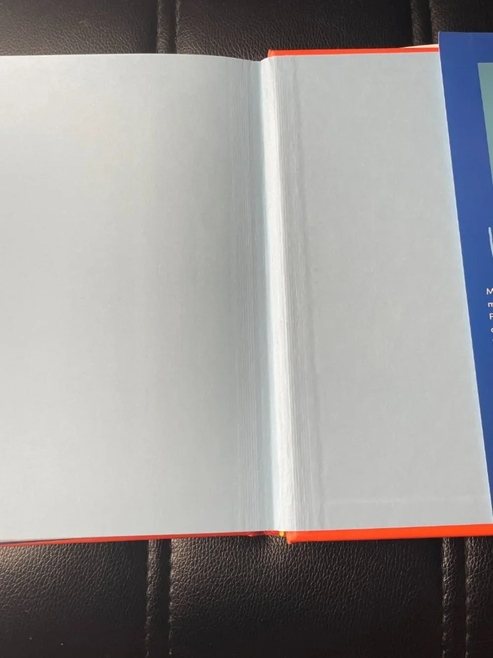 Hello, Fears - by Michelle Poler-Hardcover